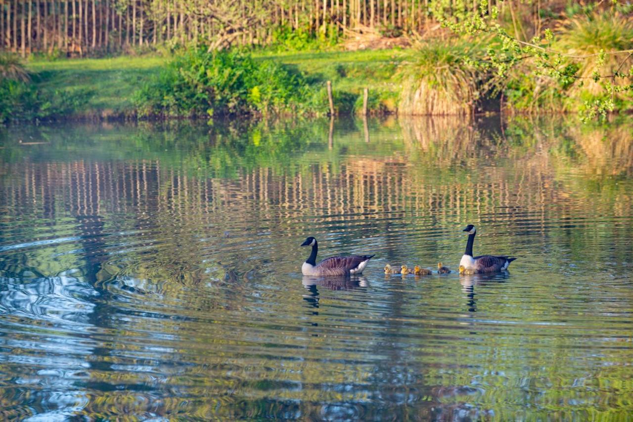 Rosefinch Sleeps 2 Persons-Private Hot Tub-Tranquil Holiday Away From It All Yet Not Far From St Austell- The Holiday Home Has One Bedroom, Living And Dining Area, Equipped Kitchen-Decking-Outdoor Furniture-Fishing Lakes-Non Pet Unit Eksteriør bilde